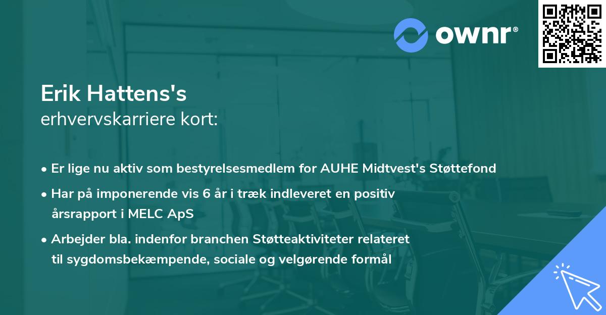 Erik Hattens's erhvervskarriere kort