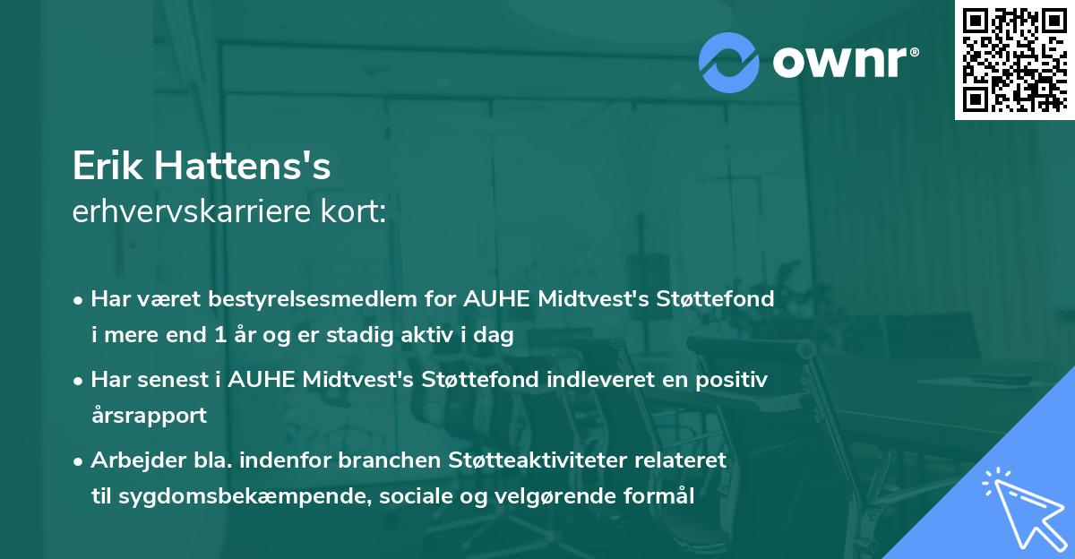 Erik Hattens's erhvervskarriere kort
