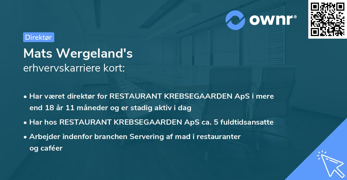 Mats Wergeland's erhvervskarriere kort
