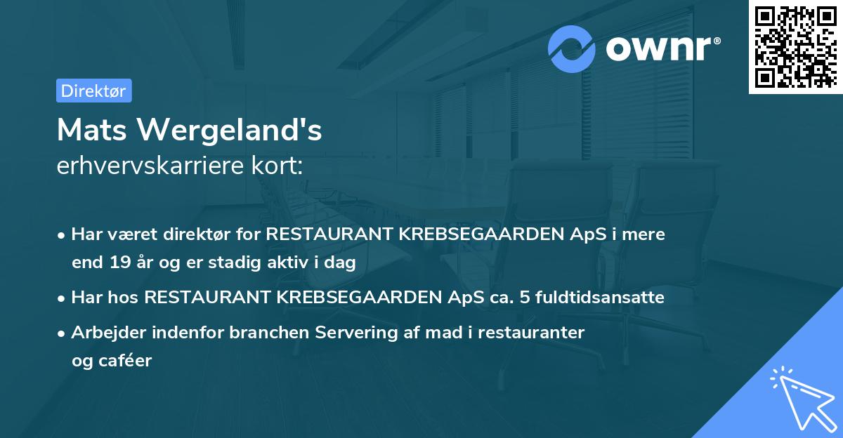 Mats Wergeland's erhvervskarriere kort