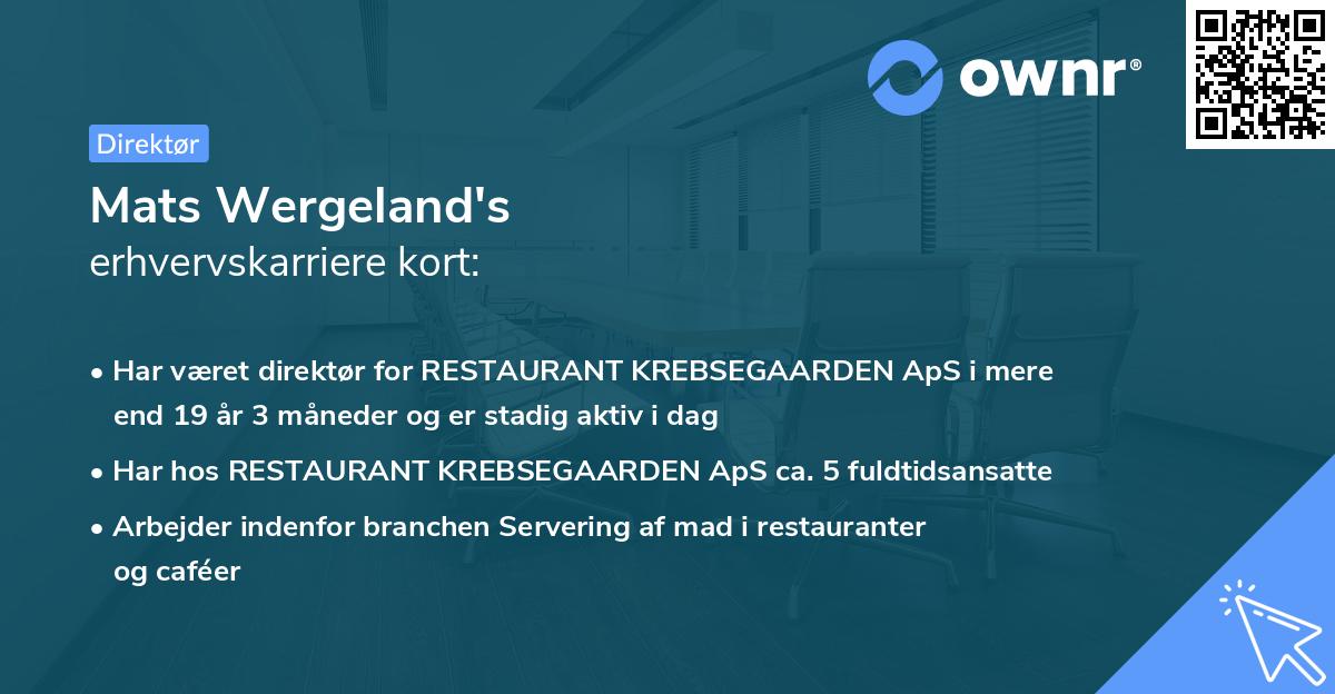 Mats Wergeland's erhvervskarriere kort