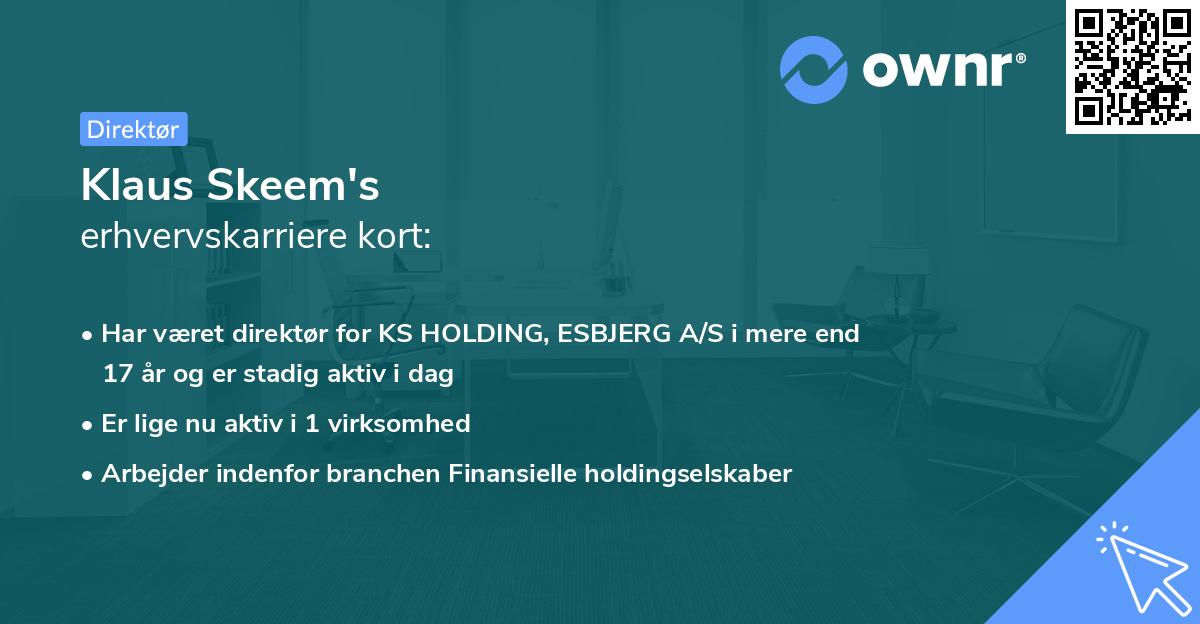 Klaus Skeem's erhvervskarriere kort