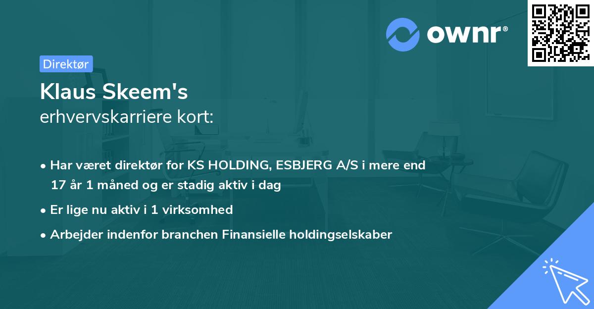 Klaus Skeem's erhvervskarriere kort