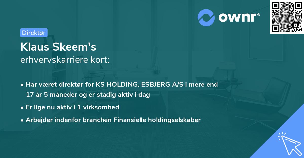 Klaus Skeem's erhvervskarriere kort