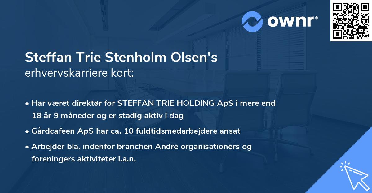 Steffan Trie Stenholm Olsen's erhvervskarriere kort