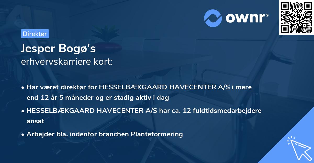 Jesper Bogø's erhvervskarriere kort