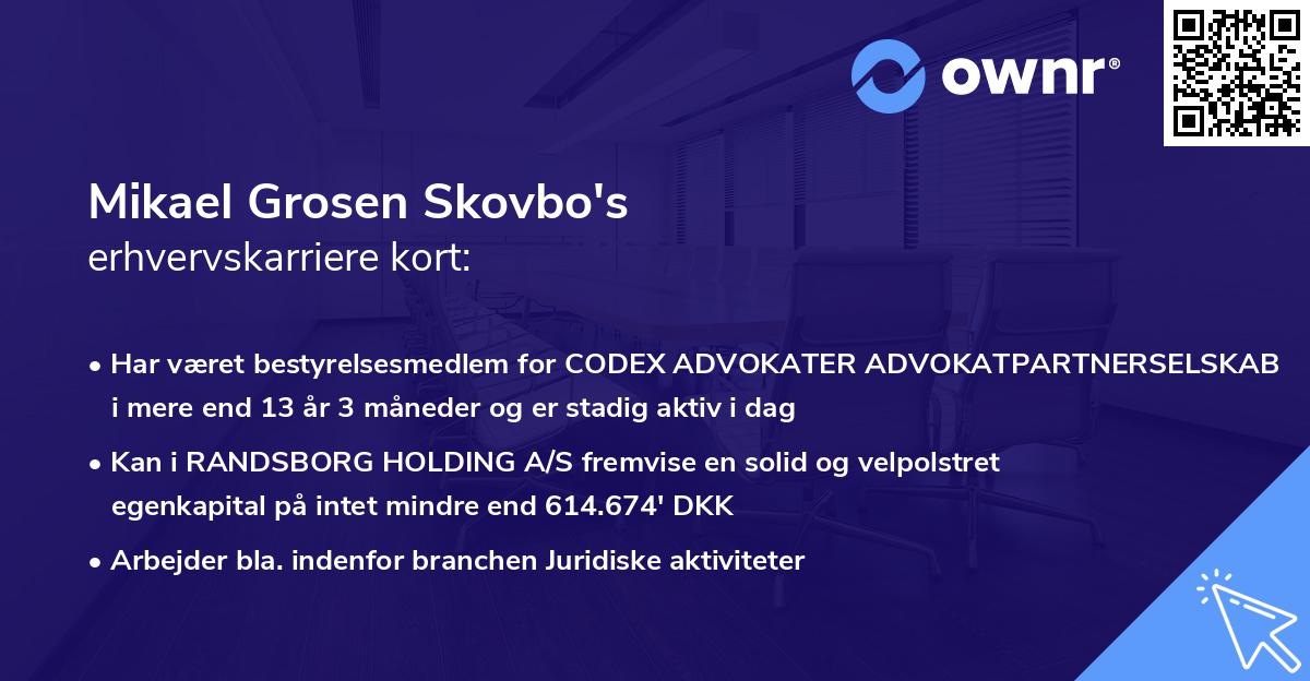 Mikael Grosen Skovbo's erhvervskarriere kort