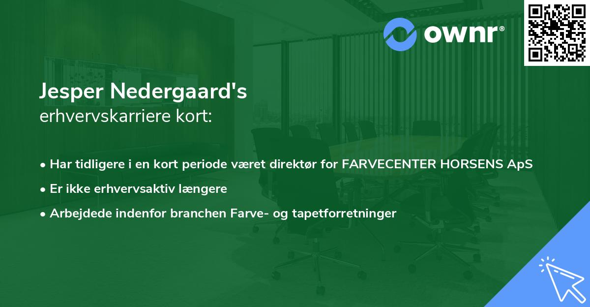 Jesper Nedergaard's erhvervskarriere kort