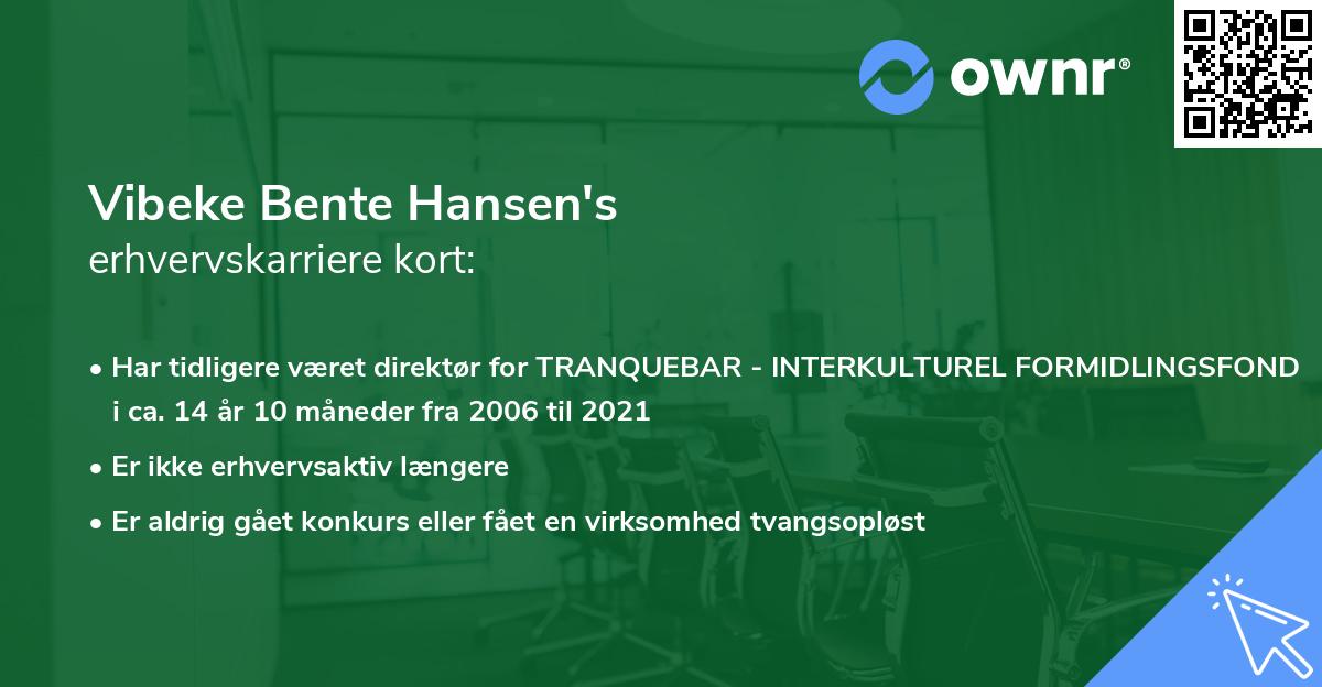 Vibeke Bente Hansen's erhvervskarriere kort