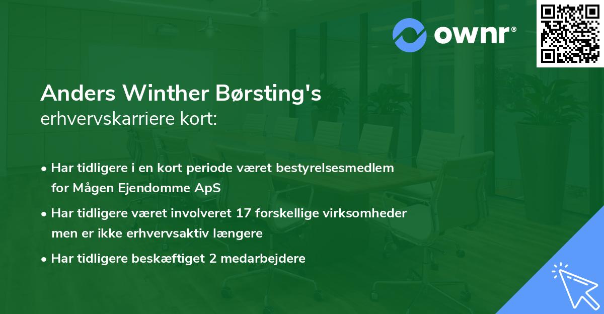 Anders Winther Børsting's erhvervskarriere kort