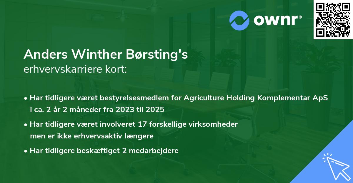 Anders Winther Børsting's erhvervskarriere kort