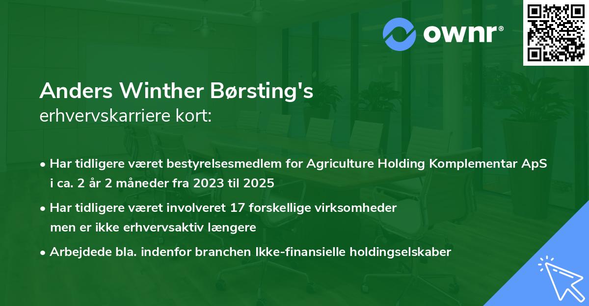 Anders Winther Børsting's erhvervskarriere kort