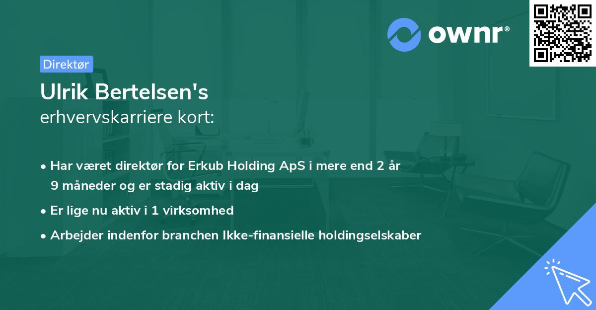 Ulrik Bertelsen's erhvervskarriere kort