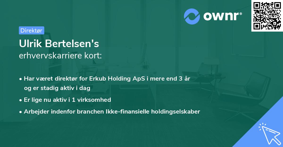 Ulrik Bertelsen's erhvervskarriere kort