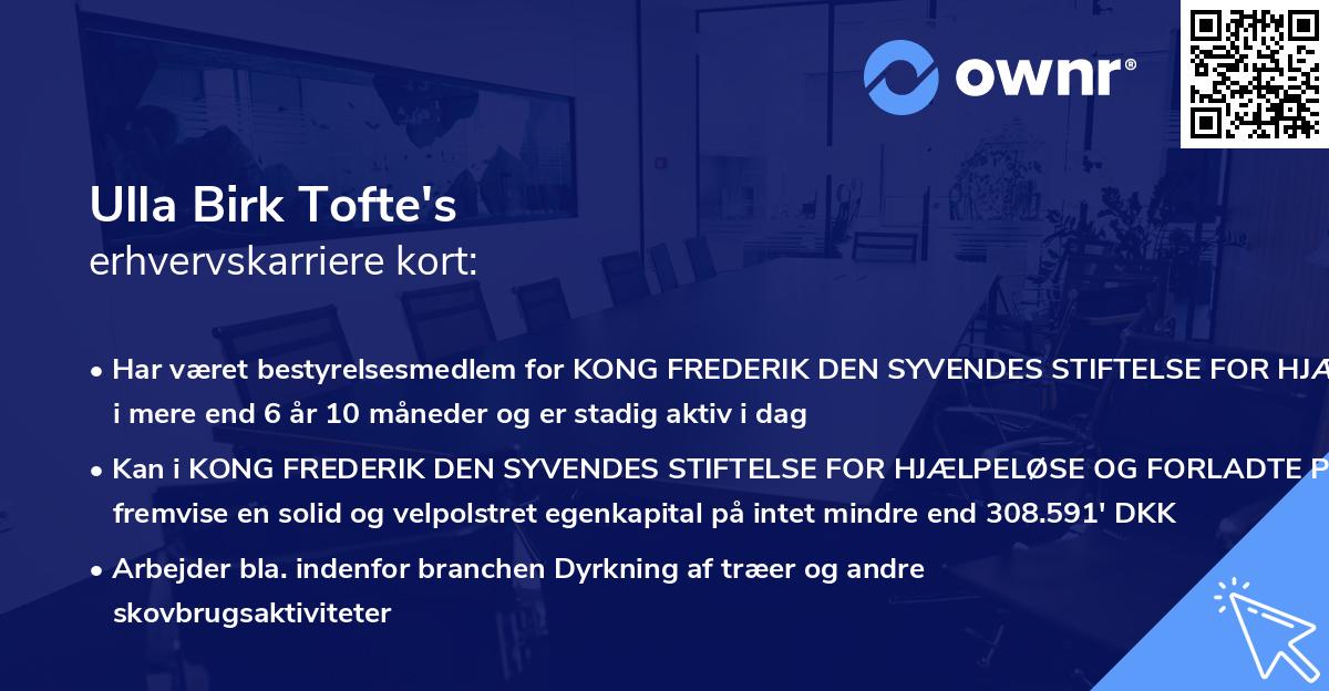 Ulla Birk Tofte's erhvervskarriere kort