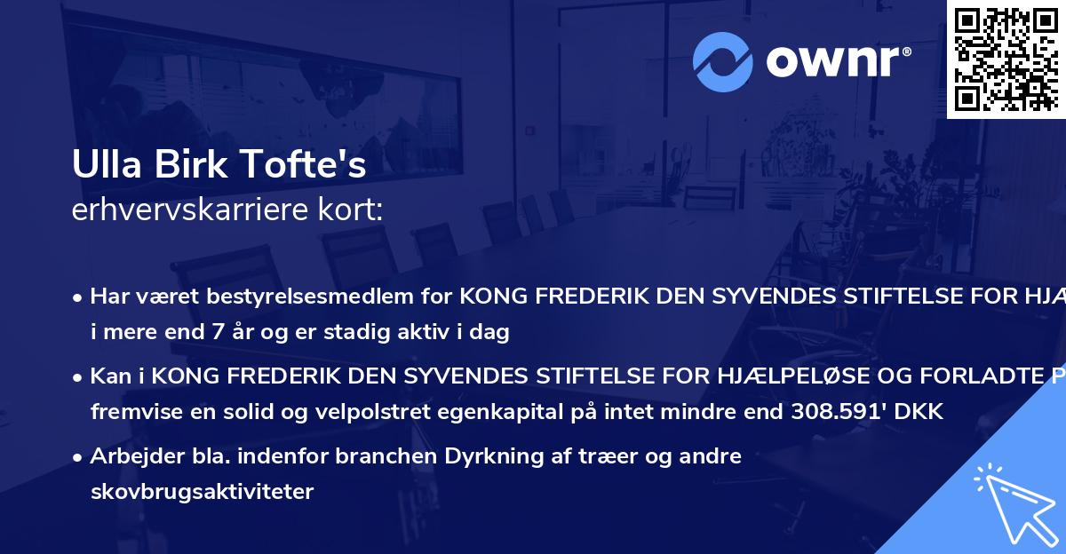 Ulla Birk Tofte's erhvervskarriere kort