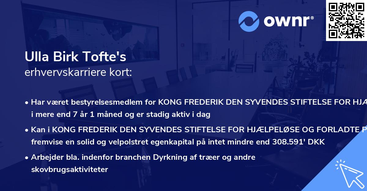 Ulla Birk Tofte's erhvervskarriere kort