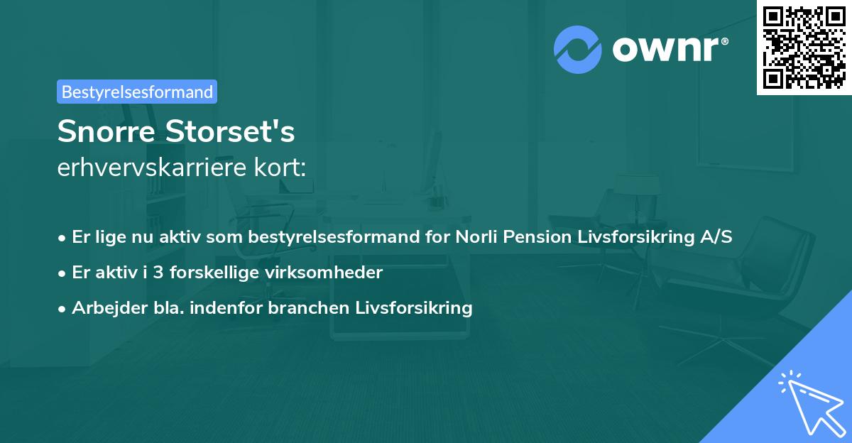 Snorre Storset's erhvervskarriere kort