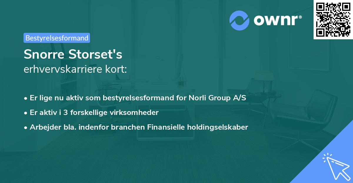 Snorre Storset's erhvervskarriere kort
