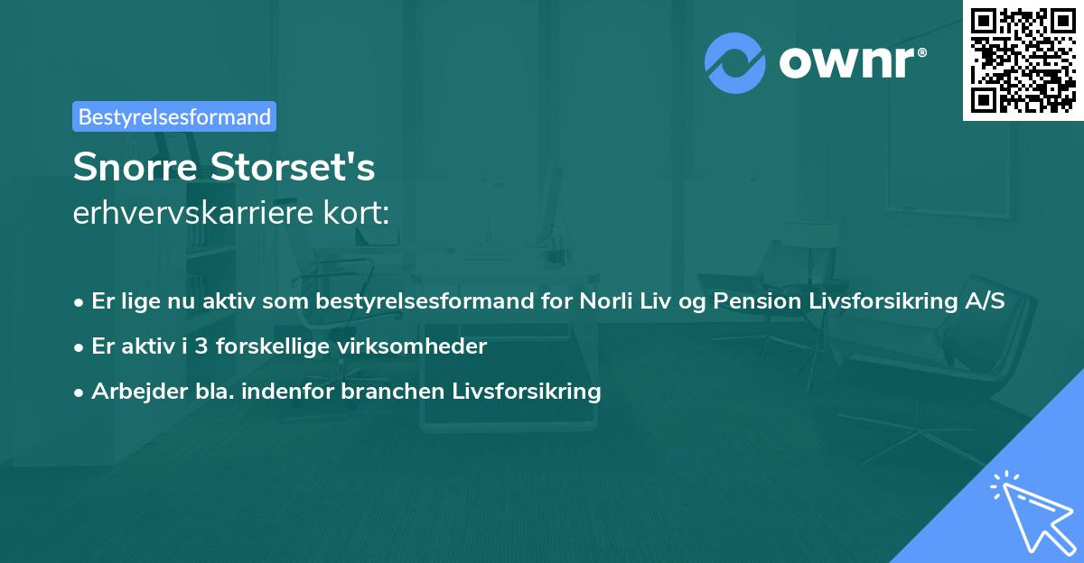 Snorre Storset's erhvervskarriere kort