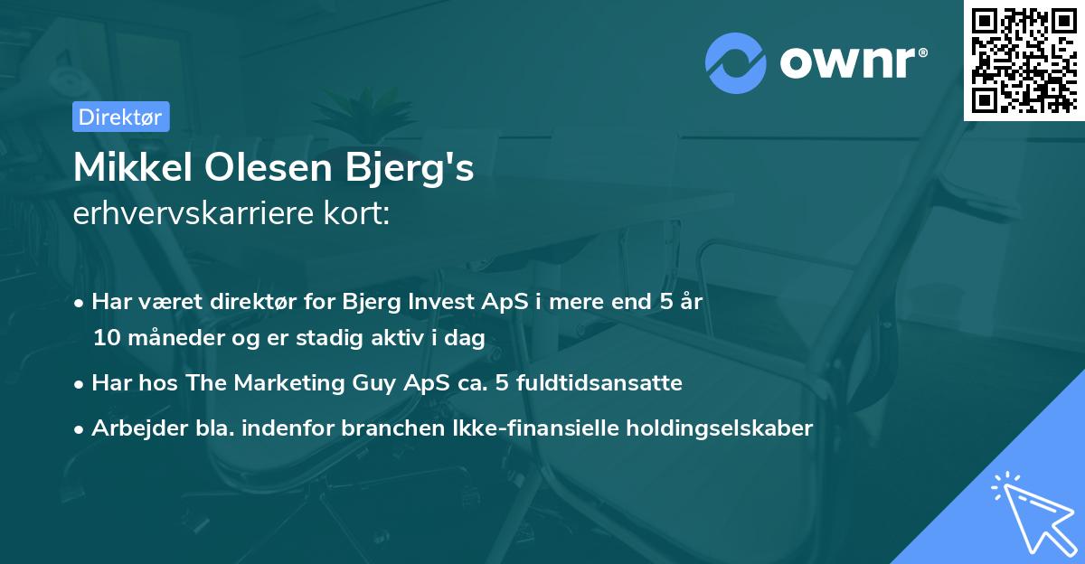 Mikkel Olesen Bjerg's erhvervskarriere kort