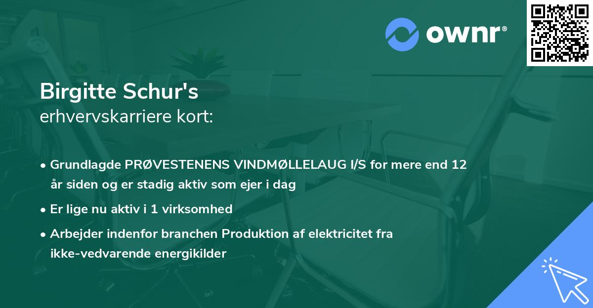 Birgitte Schur's erhvervskarriere kort