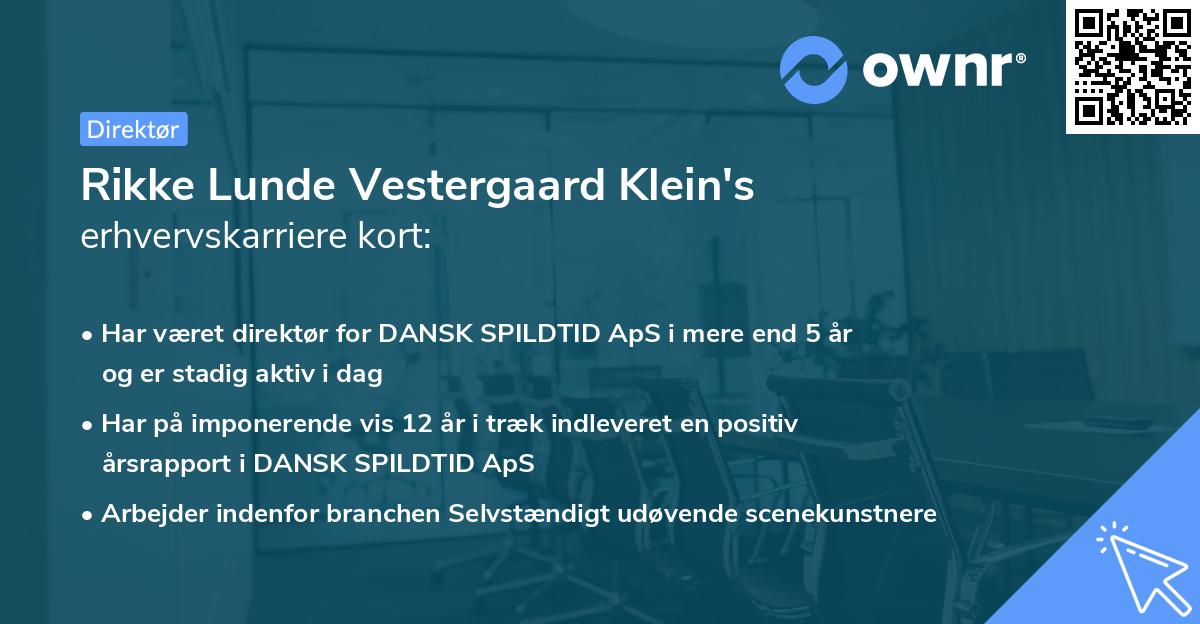 Rikke Lunde Vestergaard Klein's erhvervskarriere kort