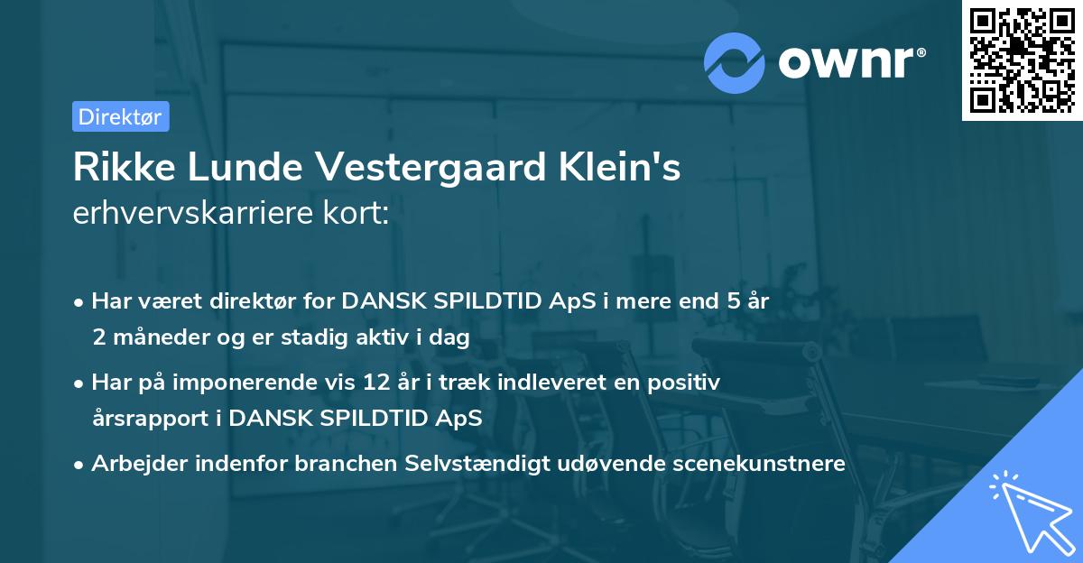 Rikke Lunde Vestergaard Klein's erhvervskarriere kort