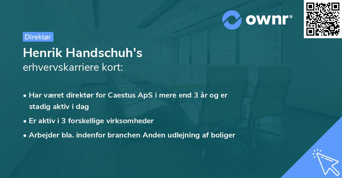 Henrik Handschuh's erhvervskarriere kort