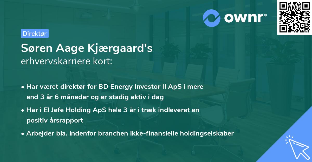 Søren Aage Kjærgaard's erhvervskarriere kort