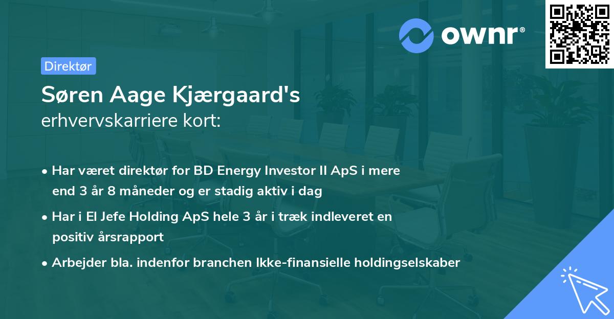 Søren Aage Kjærgaard's erhvervskarriere kort