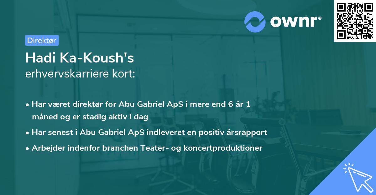 Hadi Ka-Koush's erhvervskarriere kort