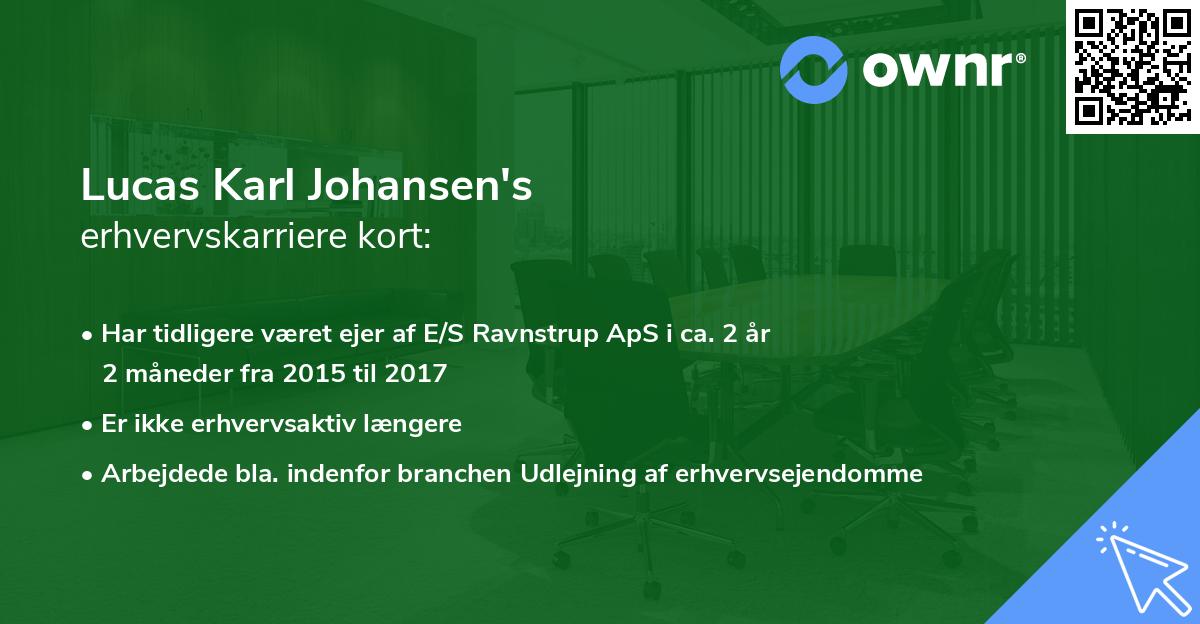 Lucas Karl Johansen's erhvervskarriere kort
