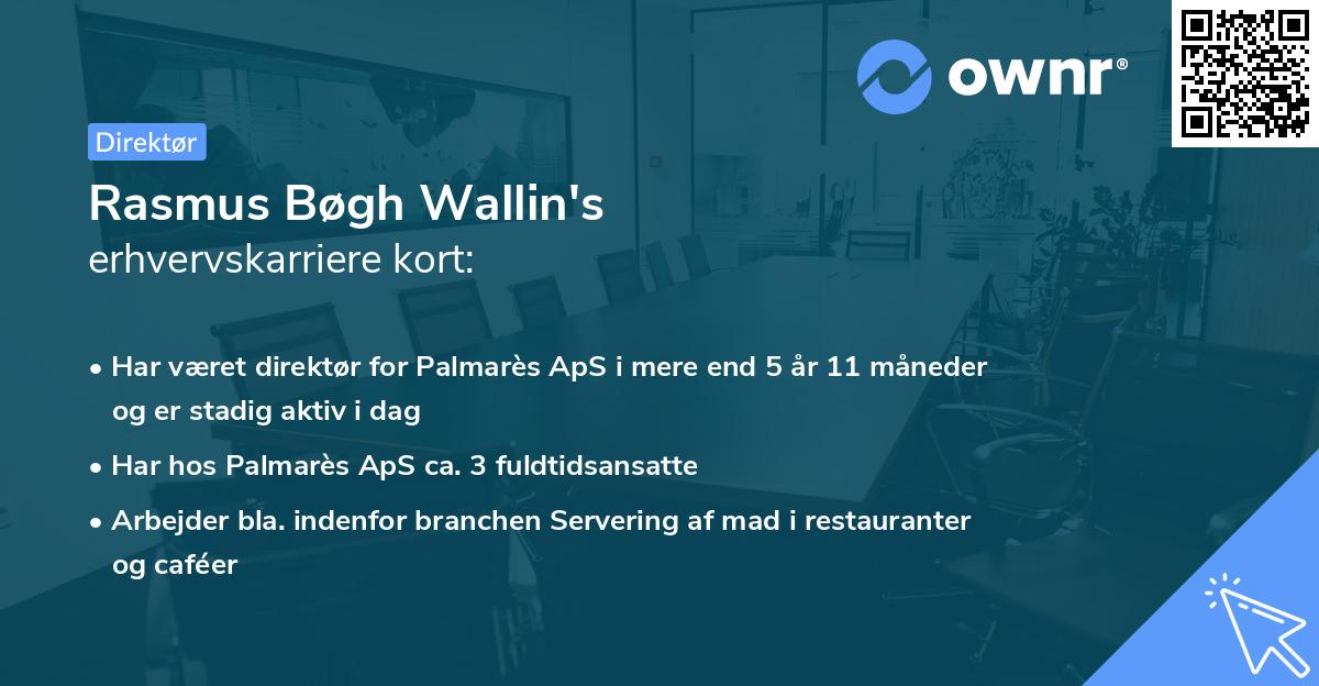 Rasmus Bøgh Wallin's erhvervskarriere kort