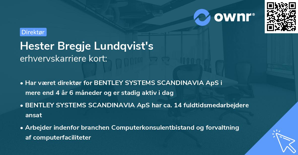Hester Bregje Lundqvist's erhvervskarriere kort