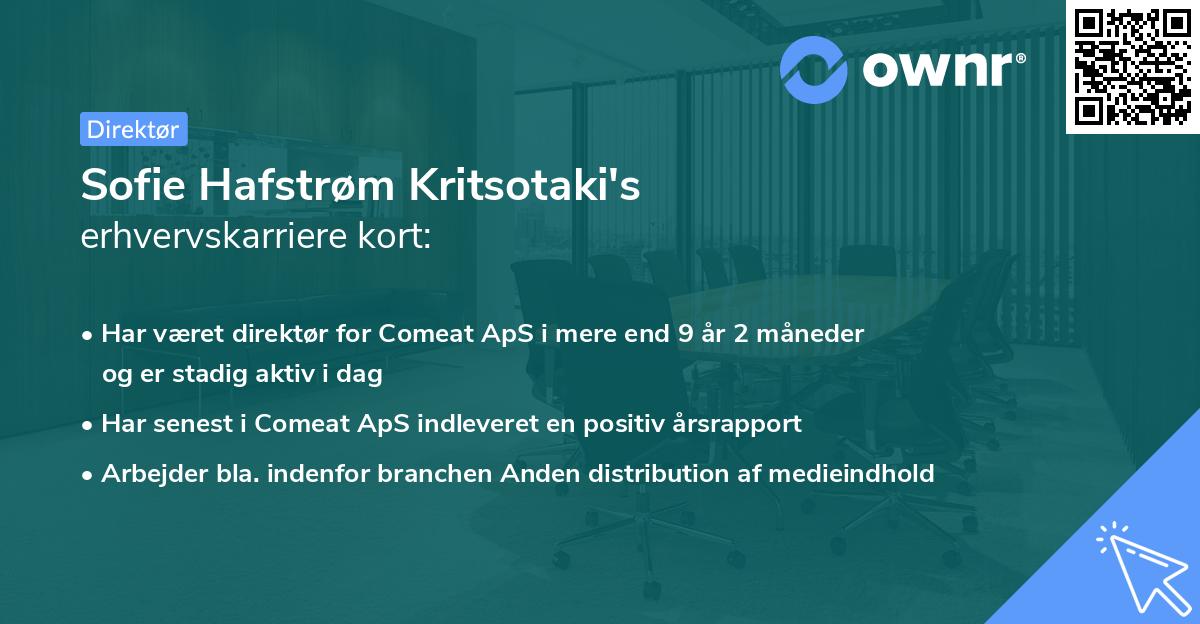 Sofie Hafstrøm Kritsotaki's erhvervskarriere kort