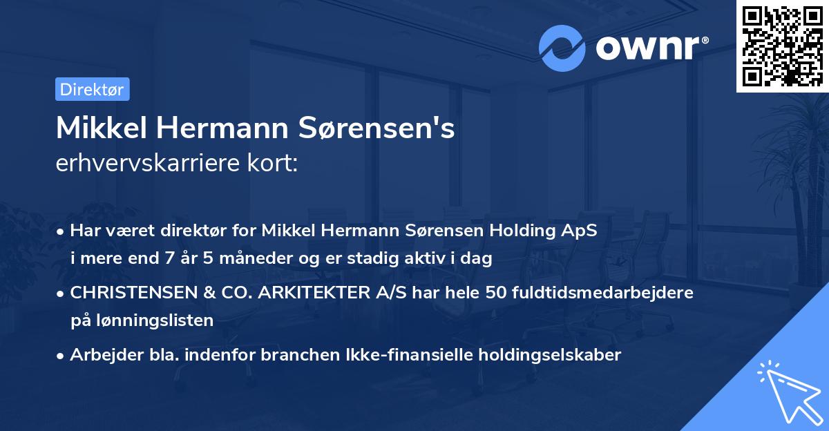 Mikkel Hermann Sørensen's erhvervskarriere kort