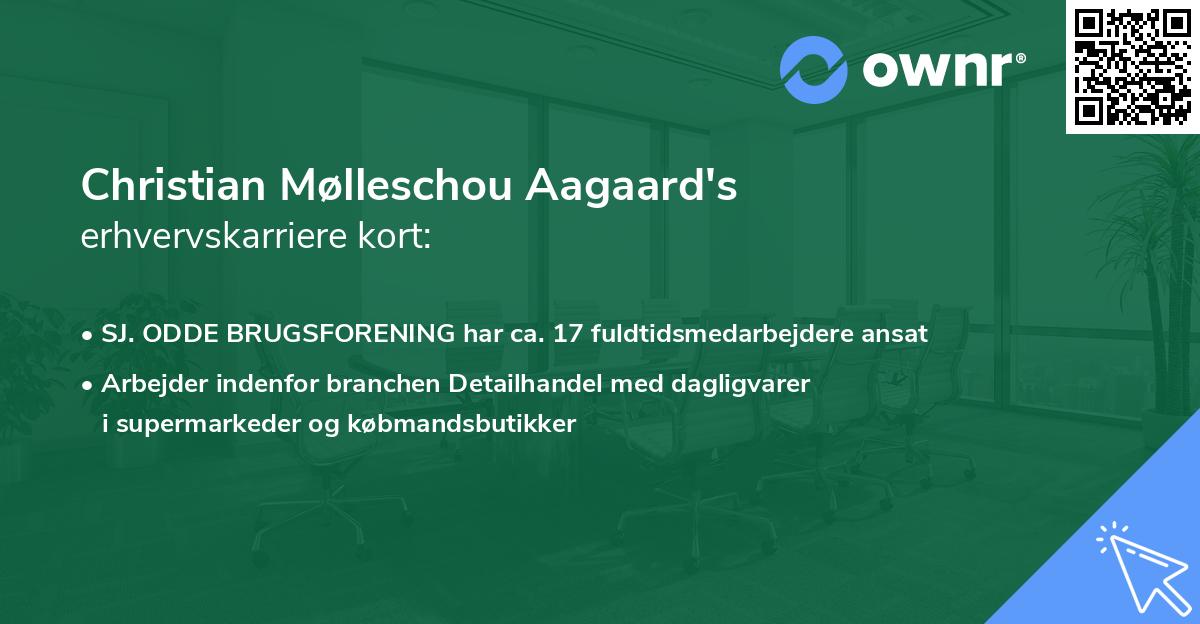 Christian Mølleschou Aagaard's erhvervskarriere kort