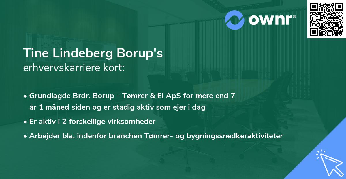 Tine Lindeberg Borup's erhvervskarriere kort