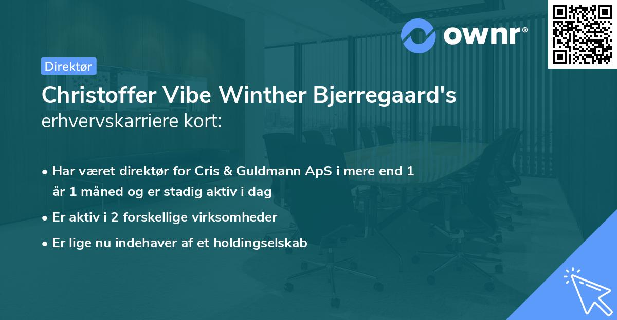 Christoffer Vibe Winther Bjerregaard's erhvervskarriere kort