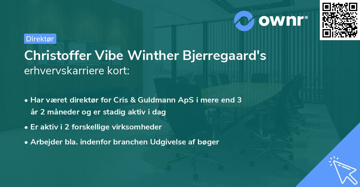 Christoffer Vibe Winther Bjerregaard's erhvervskarriere kort