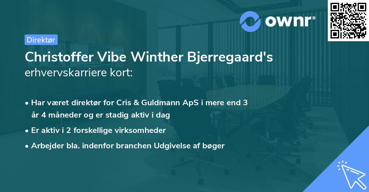 Christoffer Vibe Winther Bjerregaard's erhvervskarriere kort
