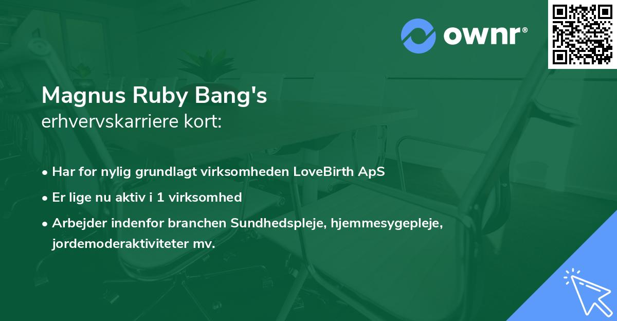 Magnus Ruby Bang's erhvervskarriere kort