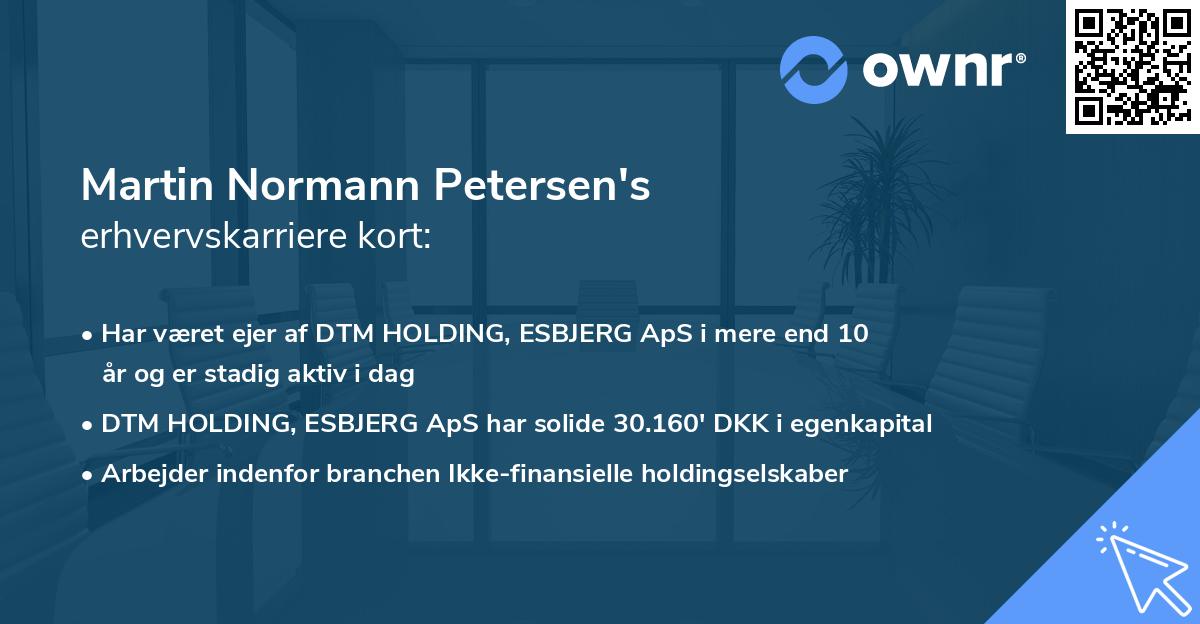 Martin Normann Petersen's erhvervskarriere kort