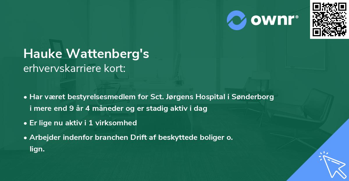 Hauke Wattenberg's erhvervskarriere kort