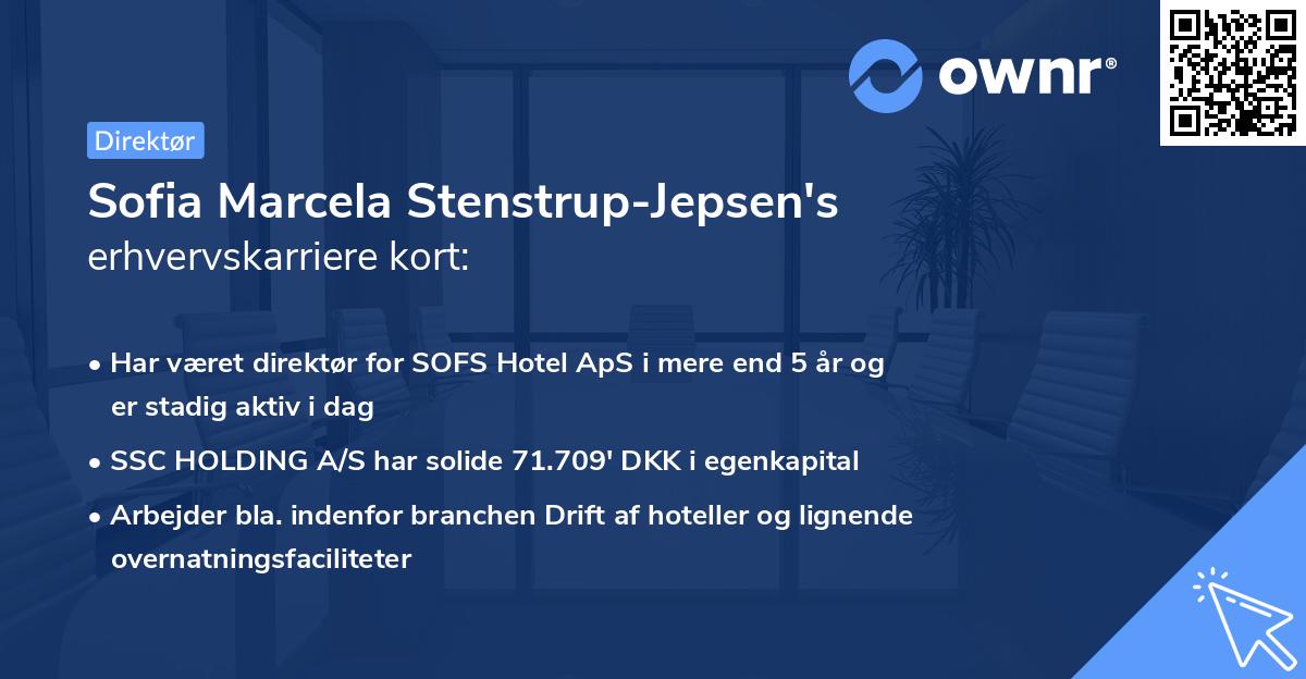Sofia Marcela Stenstrup-Jepsen's erhvervskarriere kort