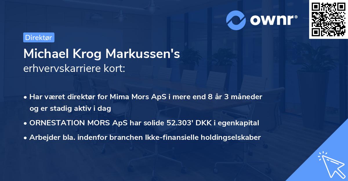 Michael Krog Markussen's erhvervskarriere kort