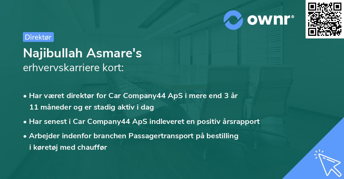 Najibullah Asmare's erhvervskarriere kort