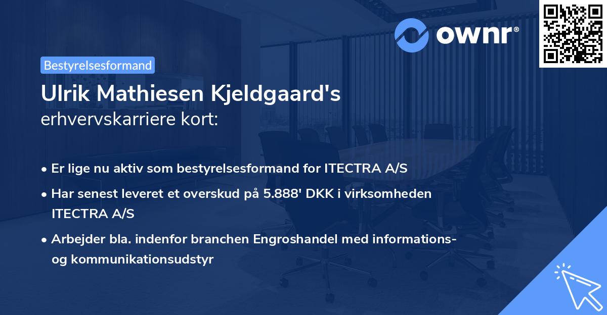 Ulrik Mathiesen Kjeldgaard's erhvervskarriere kort