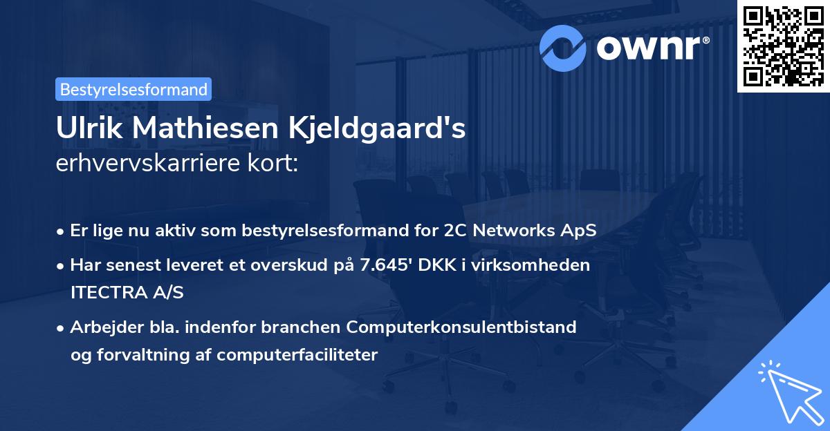 Ulrik Mathiesen Kjeldgaard's erhvervskarriere kort